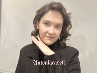 Antoniacavell