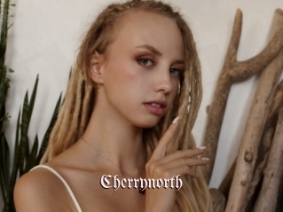 cherrynorth Vidéos Fellations