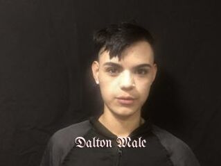 Dalton_Male