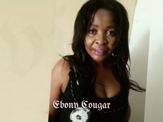 Ebony_Cougar