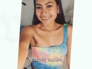 Esteysy_malibu