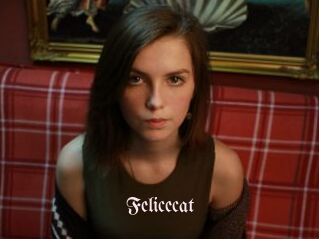 Felicecat