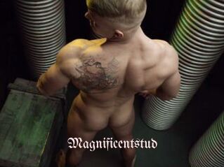 Magnificentstud