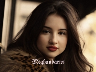 Meghanbarns