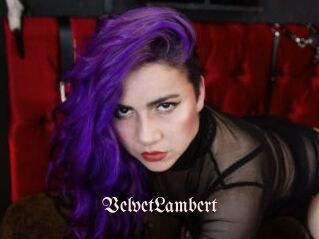 VelvetLambert