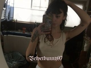 Velvetbunny97